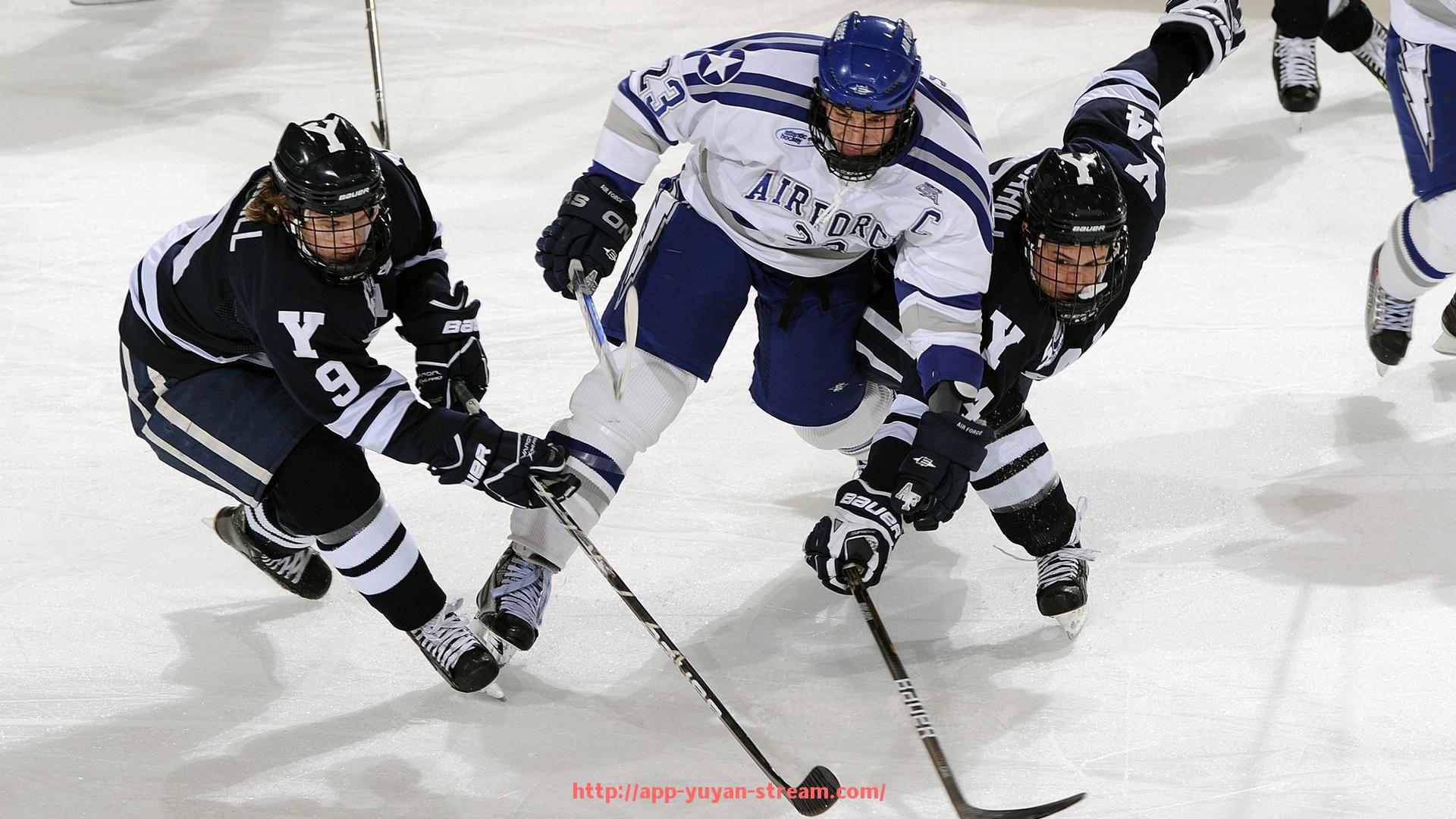 雨燕直播-从意甲球队名称中寻找适合作为女网名的灵感