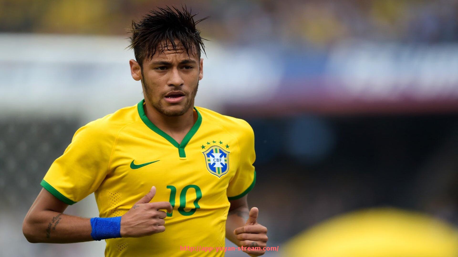 雨燕直播-法甲、意甲、德甲、西甲四大联赛参赛球队全览