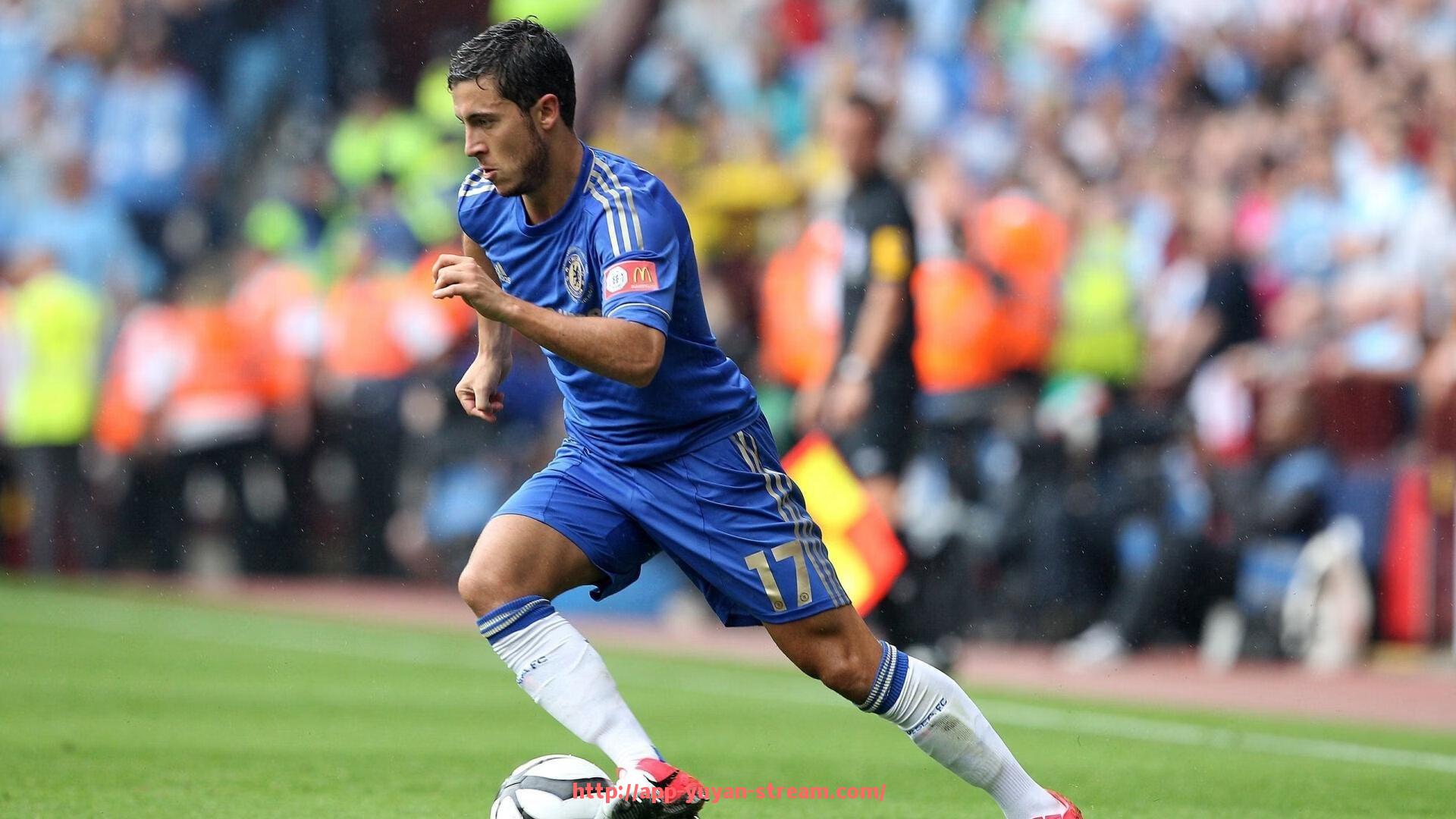 雨燕直播-法甲、意甲、德甲、西甲四大联赛参赛球队全览