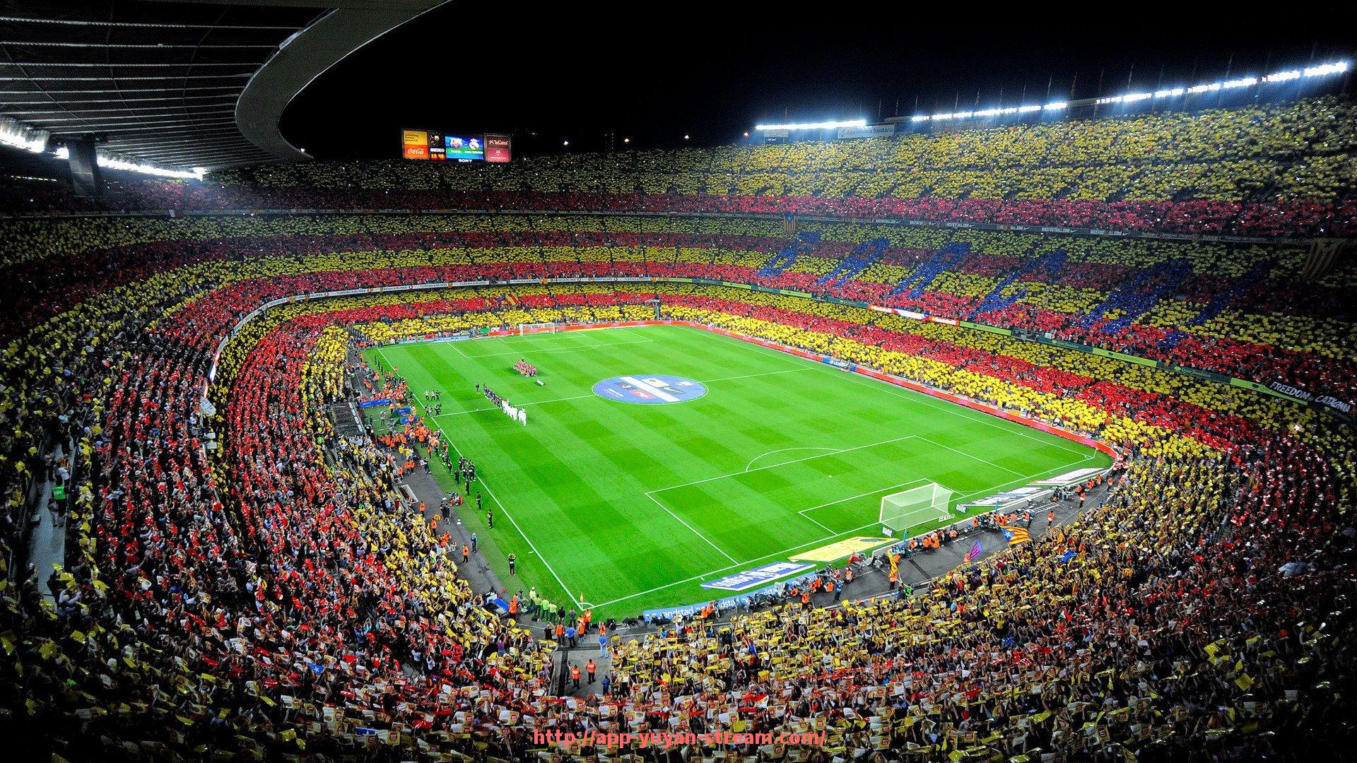 雨燕直播-深圳宝安地区舒华健身器材门店信息与选购指南