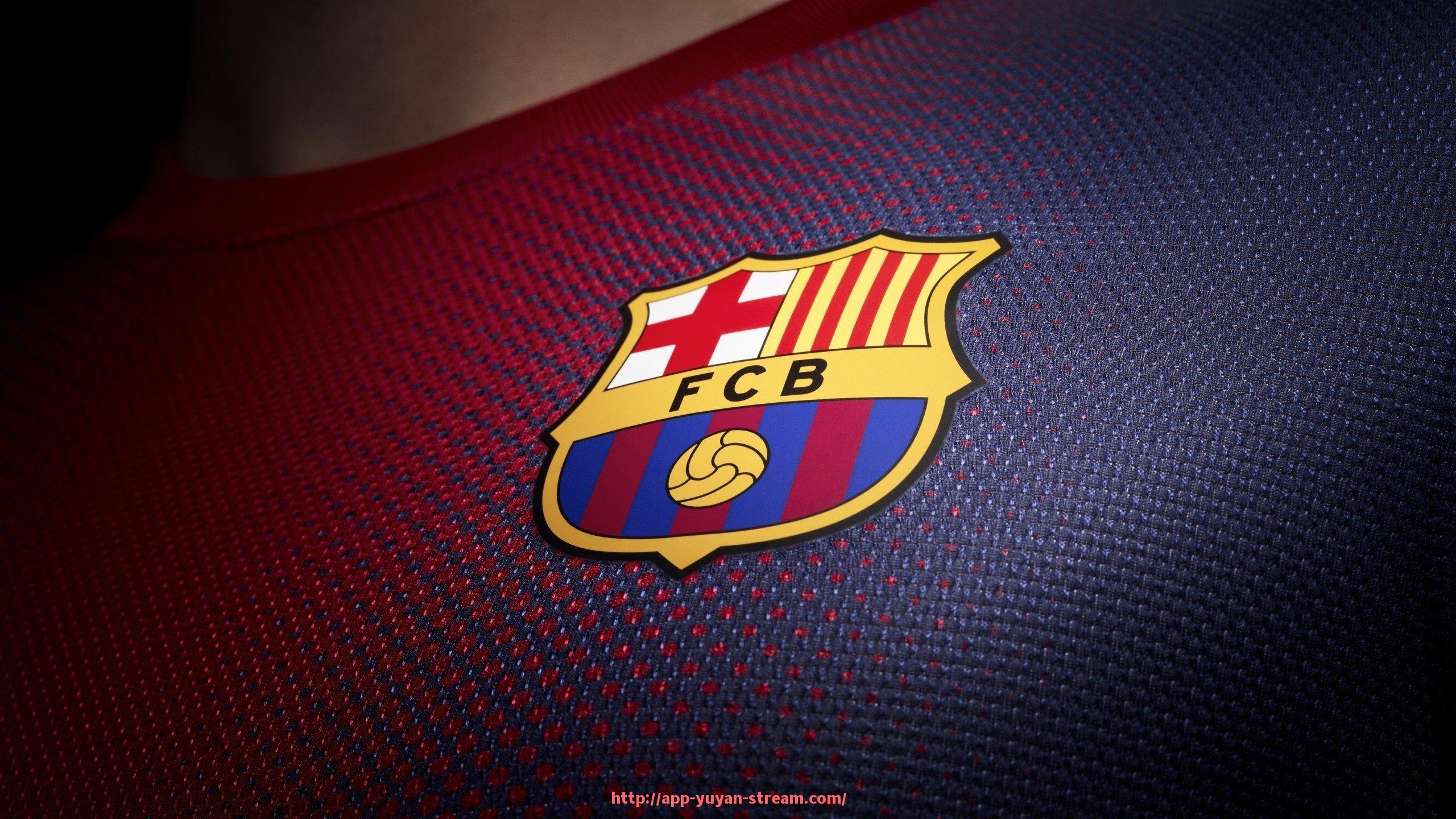 雨燕直播-法甲主帅换人策略及比赛临场调整分析