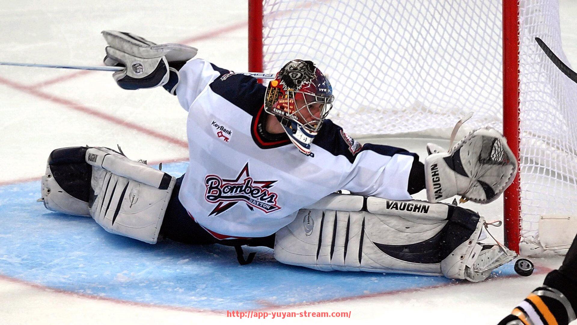 雨燕直播-英超球衣胸前花纹与图案背后的设计寓意